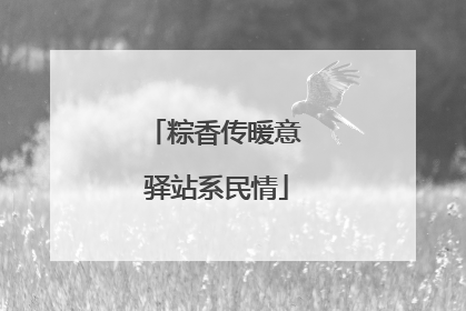 粽香传暖意 驿站系民情