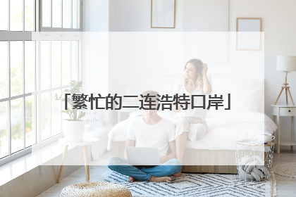 繁忙的二连浩特口岸
