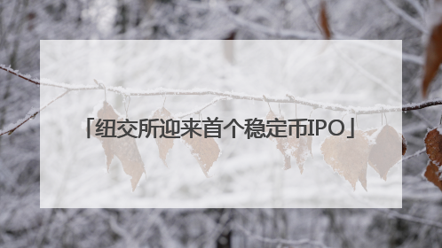 纽交所迎来首个稳定币IPO