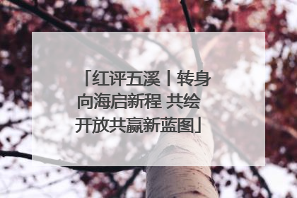 红评五溪丨转身向海启新程 共绘开放共赢新蓝图