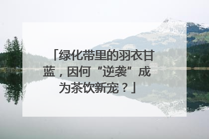 绿化带里的羽衣甘蓝，因何“逆袭”成为茶饮新宠？