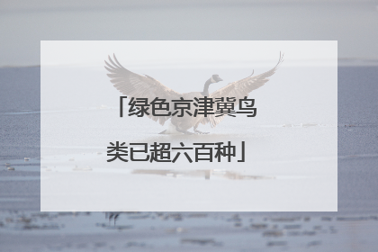 绿色京津冀鸟类已超六百种