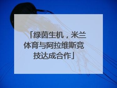 绿茵生机，米兰体育与阿拉维斯竞技达成合作