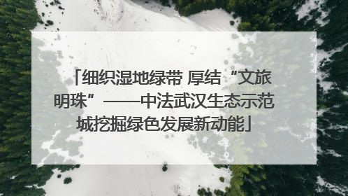 细织湿地绿带 厚结“文旅明珠”——中法武汉生态示范城挖掘绿色发展新动能