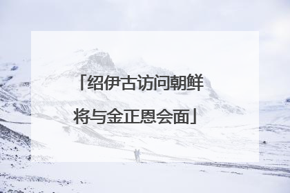 绍伊古访问朝鲜 将与金正恩会面
