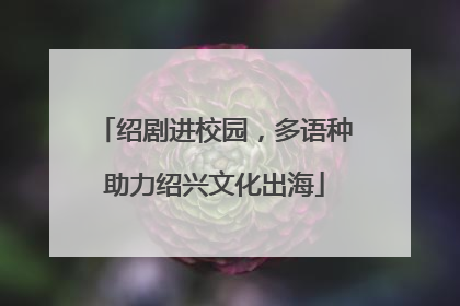 绍剧进校园，多语种助力绍兴文化出海