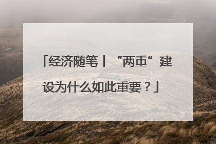 经济随笔丨“两重”建设为什么如此重要？