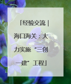 经验交流｜海口海关：大力实施“三创一建”工程