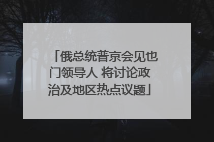 俄总统普京会见也门领导人 将讨论政治及地区热点议题
