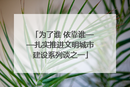 为了谁 依靠谁——扎实推进文明城市建设系列谈之一