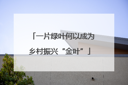 一片绿叶何以成为乡村振兴“金叶”