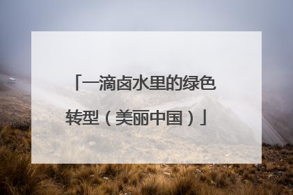 一滴卤水里的绿色转型（美丽中国）