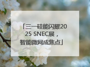 三一硅能闪耀2025 SNEC展，智能微网成焦点