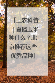 三农科普｜夏播玉米种什么？北京推荐这些优秀品种