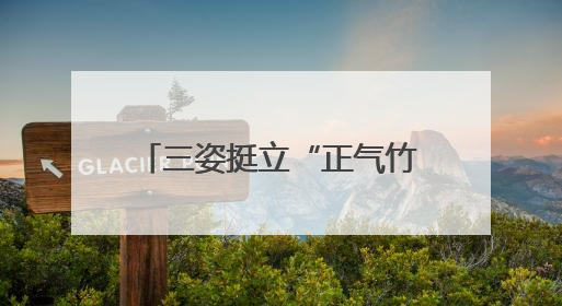 三姿挺立“正气竹”！这所小学让清廉在挺拔脊梁中生长