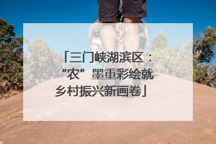三门峡湖滨区：“农”墨重彩绘就乡村振兴新画卷