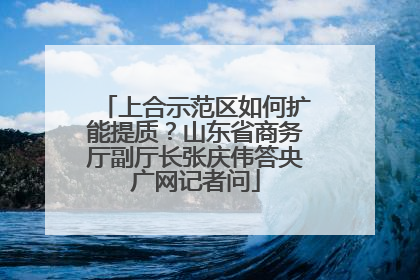 上合示范区如何扩能提质？山东省商务厅副厅长张庆伟答央广网记者问