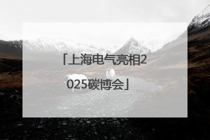 上海电气亮相2025碳博会