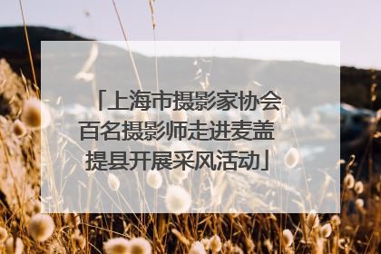 上海市摄影家协会百名摄影师走进麦盖提县开展采风活动