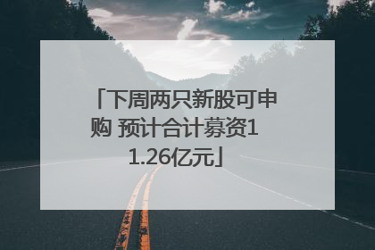 下周两只新股可申购 预计合计募资11.26亿元