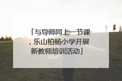与导师同上一节课，乐山柏杨小学开展新教师培训活动