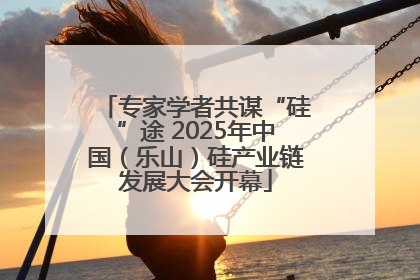 专家学者共谋“硅”途 2025年中国（乐山）硅产业链发展大会开幕