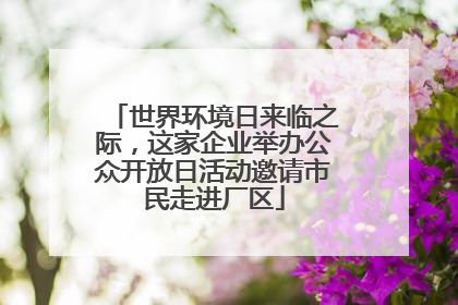 世界环境日来临之际，这家企业举办公众开放日活动邀请市民走进厂区