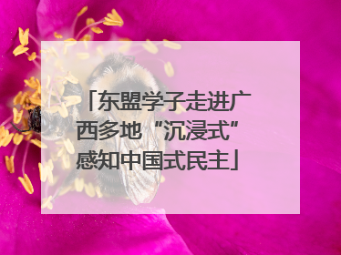 东盟学子走进广西多地“沉浸式”感知中国式民主