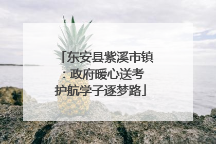 东安县紫溪市镇：政府暖心送考 护航学子逐梦路