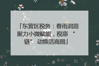 东营区税务：春雨润苗聚力小微赋能，税惠 “链” 动焕活商圈