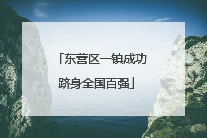 东营区一镇成功跻身全国百强