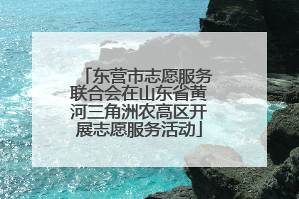 东营市志愿服务联合会在山东省黄河三角洲农高区开展志愿服务活动
