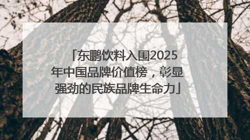 东鹏饮料入围2025年中国品牌价值榜，彰显强劲的民族品牌生命力