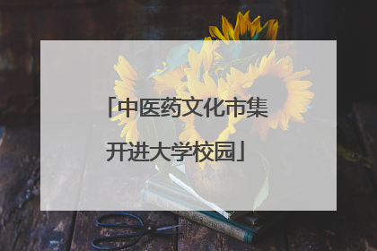 中医药文化市集开进大学校园