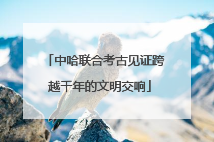 中哈联合考古见证跨越千年的文明交响