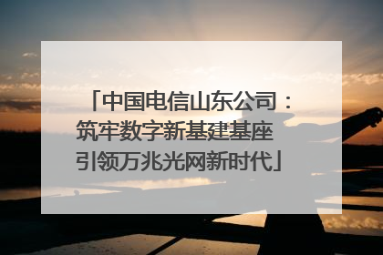 中国电信山东公司：筑牢数字新基建基座 引领万兆光网新时代