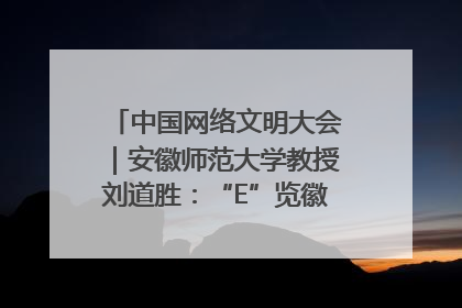中国网络文明大会｜安徽师范大学教授刘道胜：“E”览徽风，构筑中华民族共有精神家园