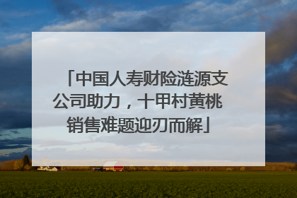 中国人寿财险涟源支公司助力，十甲村黄桃销售难题迎刃而解
