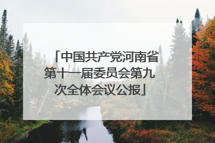 中国共产党河南省第十一届委员会第九次全体会议公报