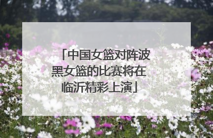 中国女篮对阵波黑女篮的比赛将在临沂精彩上演
