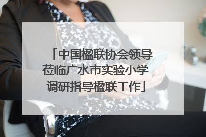 中国楹联协会领导莅临广水市实验小学调研指导楹联工作