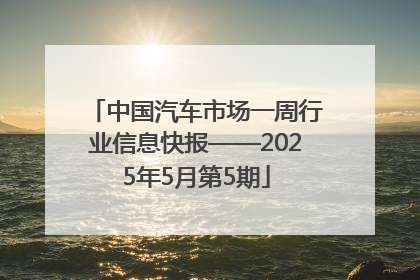 中国汽车市场一周行业信息快报——2025年5月第5期