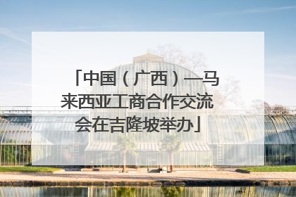 中国（广西）—马来西亚工商合作交流会在吉隆坡举办