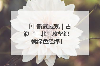 中新武威观｜古浪“三北”攻坚织就绿色经纬
