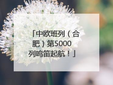 中欧班列（合肥）第5000列鸣笛起航！