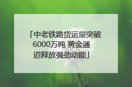 中老铁路货运量突破6000万吨 黄金通道释放强劲动能
