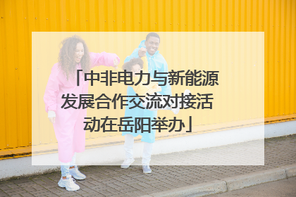 中非电力与新能源发展合作交流对接活动在岳阳举办