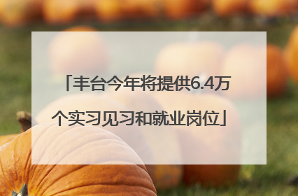 丰台今年将提供6.4万个实习见习和就业岗位