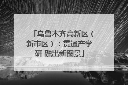 乌鲁木齐高新区（新市区）：贯通产学研 融出新图景