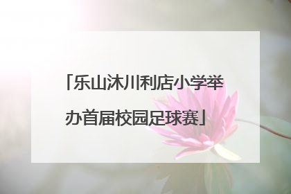 乐山沐川利店小学举办首届校园足球赛